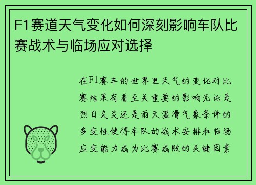 F1赛道天气变化如何深刻影响车队比赛战术与临场应对选择